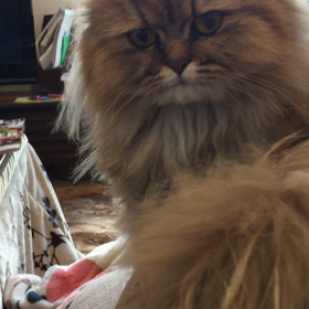 ジルかとおもった…の画像