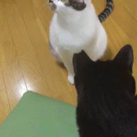 遠回りしたけど、みつかってよかった（ポエム風タイトル）の画像