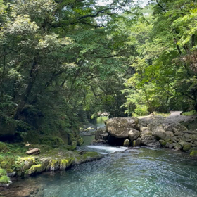 不思議な動画in菊池渓谷の画像