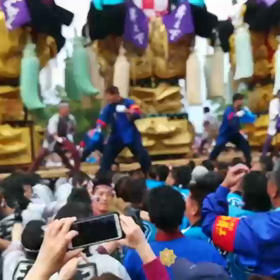 大興奮のあとはパニックの画像