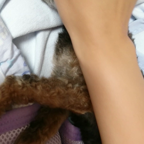 何でもないといいなぁ…の画像