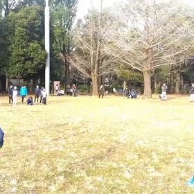 ダッシュ(紺・黄緑グループ)⑤の画像