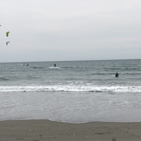 少し減ったの画像