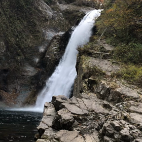 今日はカメラの日の画像