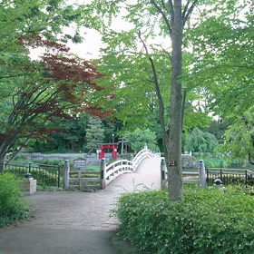 洗足池  にての画像