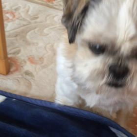 ひと段落の画像