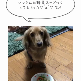 アキレス腱断裂351日目 リハビリ171日目の画像