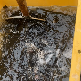 7/5、今日の釣り場。明日の予定。の画像