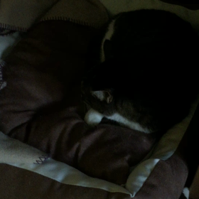 おはよー ヌリヌリヌリの画像