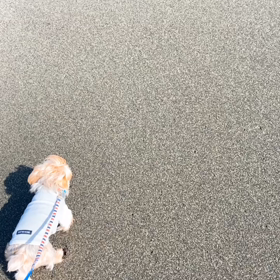 まだ帰りたくない！の画像