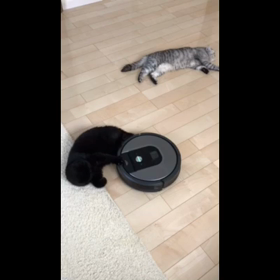 今日の勝負は…の画像