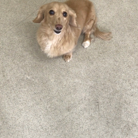 ♪プレイルーム動画♪の画像