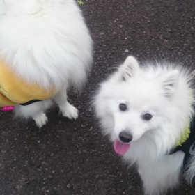 ジョージ&ライの画像