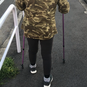 ノルディックポールの画像