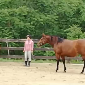 昨日のリラとローラの画像