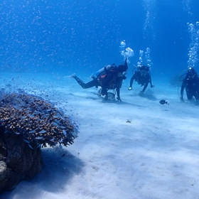 体験ダイビングの画像