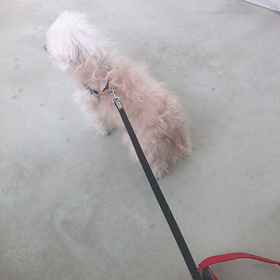 ワクチンの画像