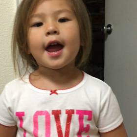 ぞうさんの画像