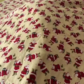 令和ちゃん一時保育へ…クリスマスクロスと保護猫デール！の画像