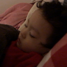 たかいびきのたかせちゃんの画像