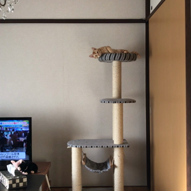 あなたが愛される理由を表彰！の画像