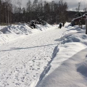 ノースサファリ札幌の画像
