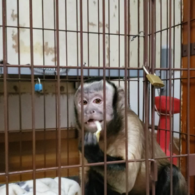 ２０２１年よさらばじゃ‼️の画像