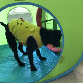 ♪プレイルーム動画♪①の画像