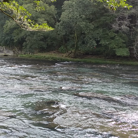 水は友達(笑)の画像