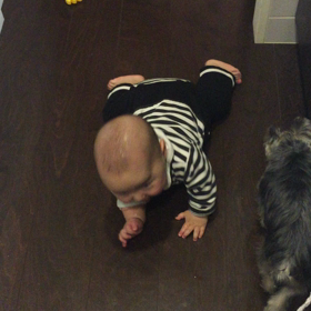 キッチンにきたよ。の画像