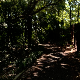 ランニング　ゴミのやまの画像