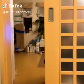 フライングひょっこりはんの画像