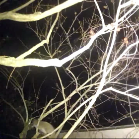 すぎぴたんの事件簿シーズン3　130話（争奪戦の終わり）の画像