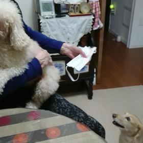 今日はおばあちゃんと…の画像