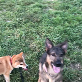 お久しぶりの。の画像