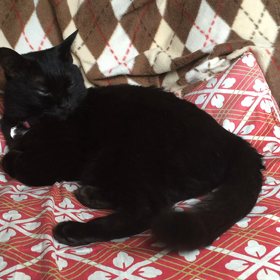 おはよ！(ｏﾟ∀ﾟｏ)ゞの画像