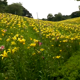森乃　熊三（＾＿－）≡★の画像