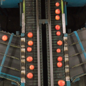 ライン検査の画像