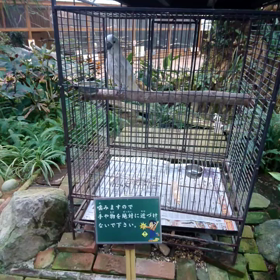 ありがとう❗の画像