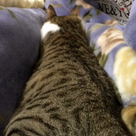 油断大敵！？の画像