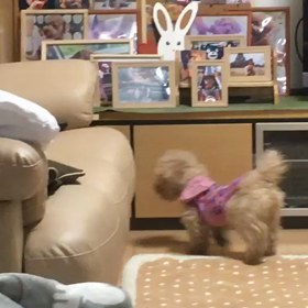 出たり入ったりの画像