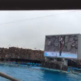 これすごくない？の画像