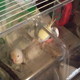 ありがとうございました♪の画像