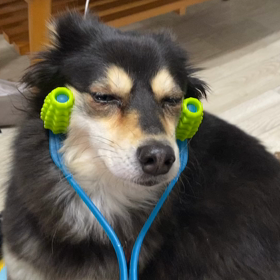 うちの娘はの画像