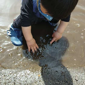 水たまりの画像