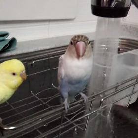 忘れられないあの子の日。の画像