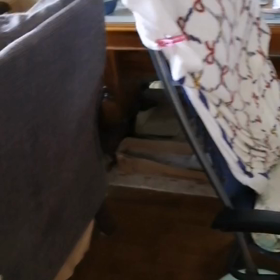 続、猫動画、チャオくんもご機嫌❤の画像