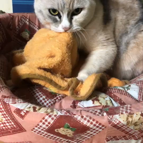 ちょつと、一息の画像