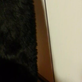 鳴き声。の画像