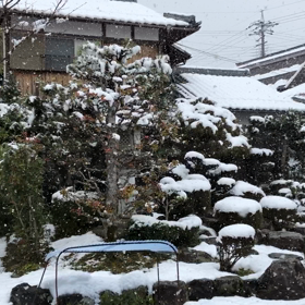 退屈過ぎた休日の画像